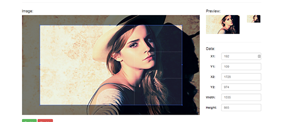 Image Cropper Image Cropper