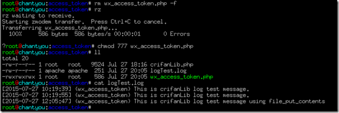 php write log file show result