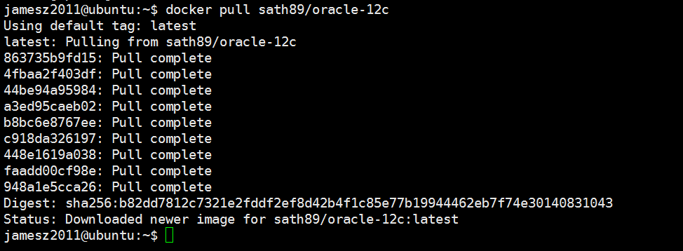 Docker中安装配置Oracle数据库_