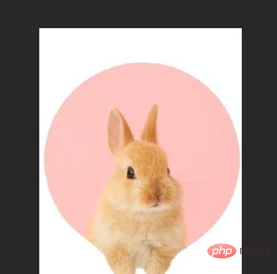 1592988374119408.png 55cf1168cf623c3fddb2d6014a58a99.png