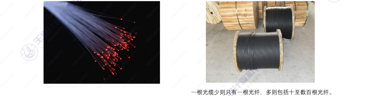 image-20220830203107447