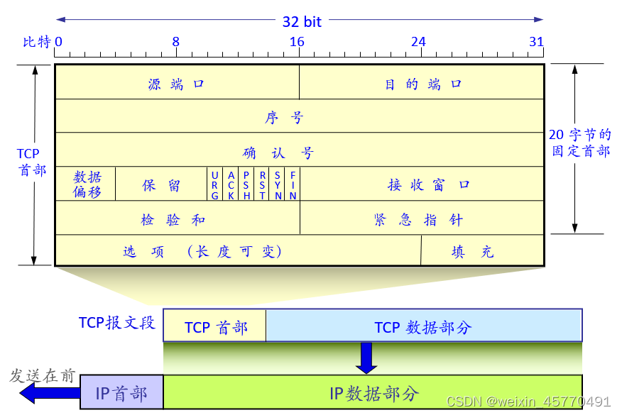 TCP报文段格式