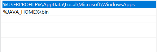 Windows 10 下的变量