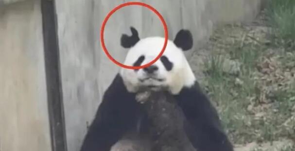 qq截图20230423094300.jpg