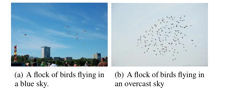 像这样的图片，相同的COCO描述，完全不同的图片，缺少更多细节描述