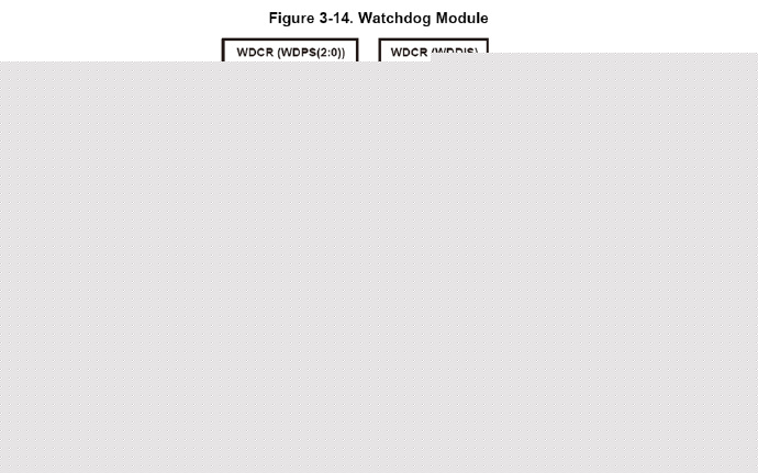 DSP <wbr>中的看门狗