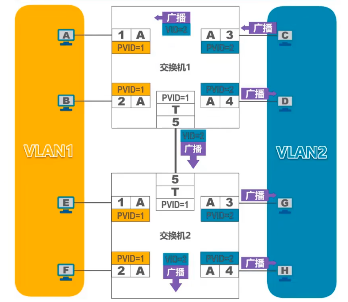 image-20220715111412957