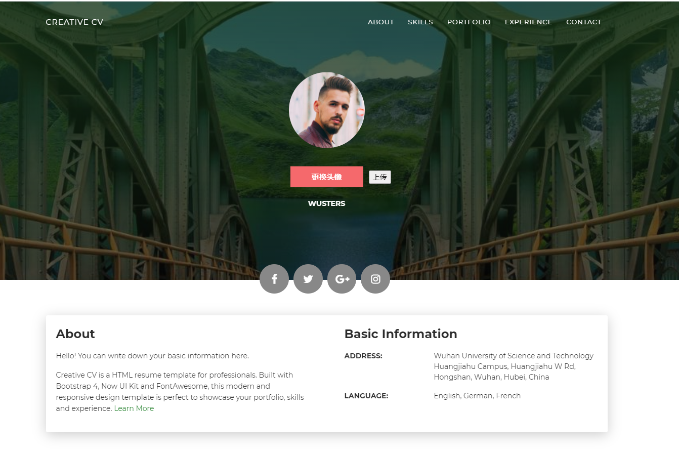 image-20201211213804821