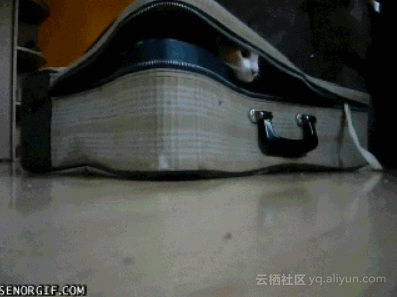 c52e0457ae045882ff73889549a7b969968dbd1c