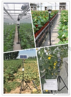 NB-IoT农业示范应用