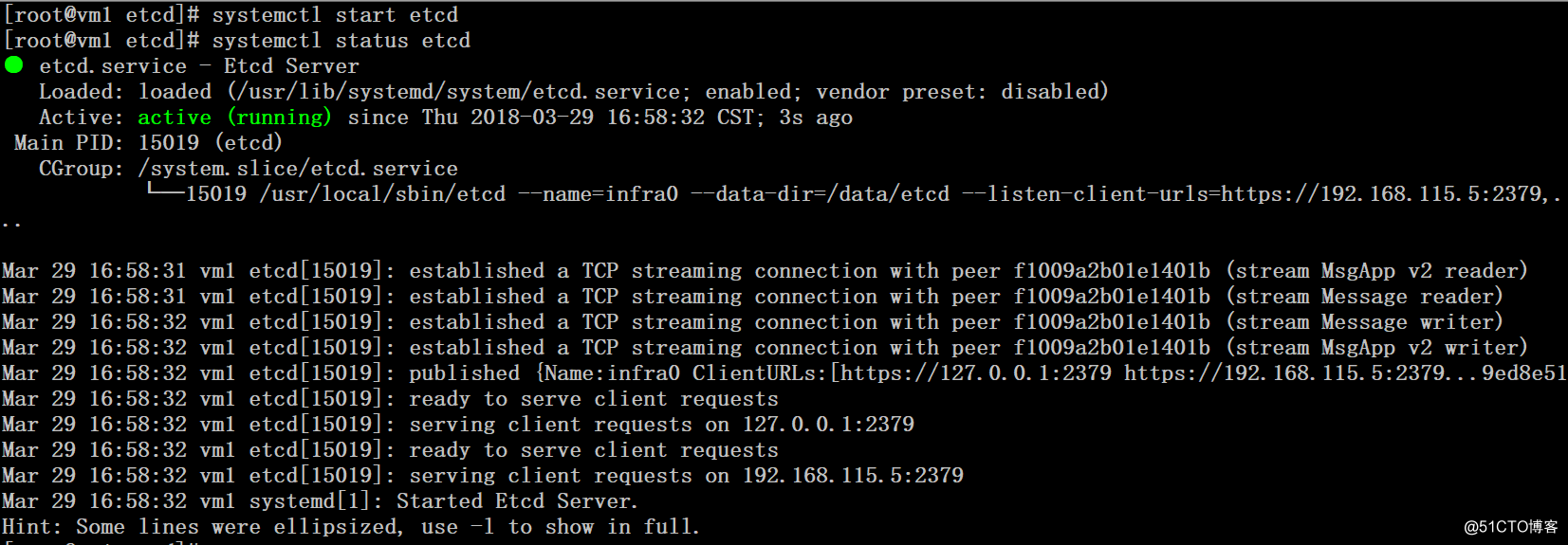 配置Etcd集群和TLS认证