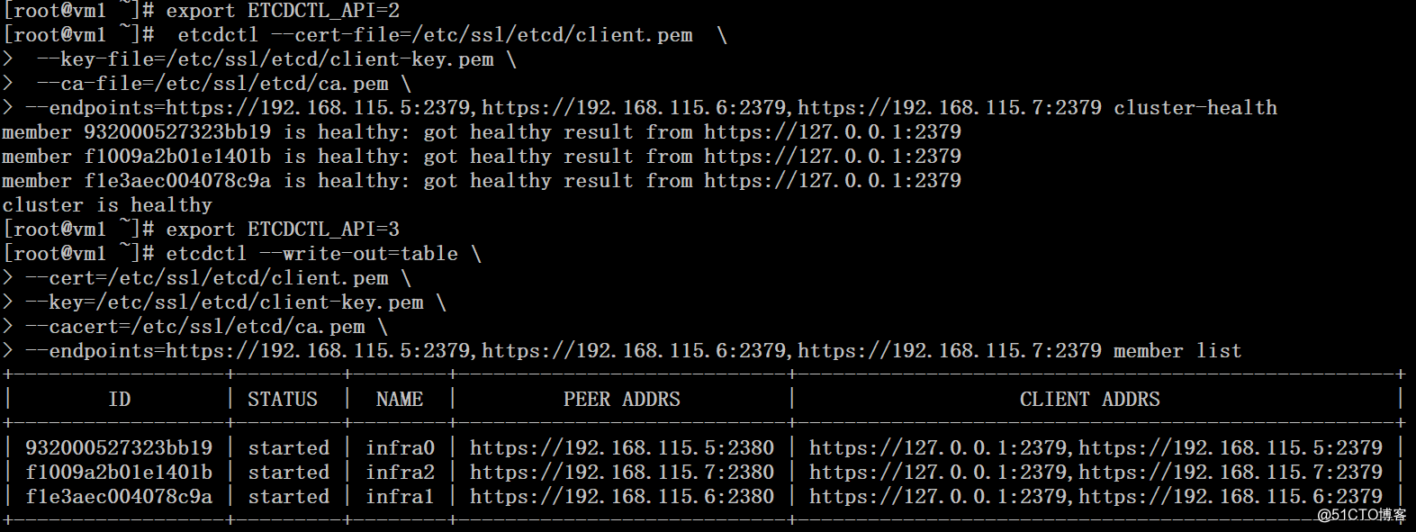 配置Etcd集群和TLS认证