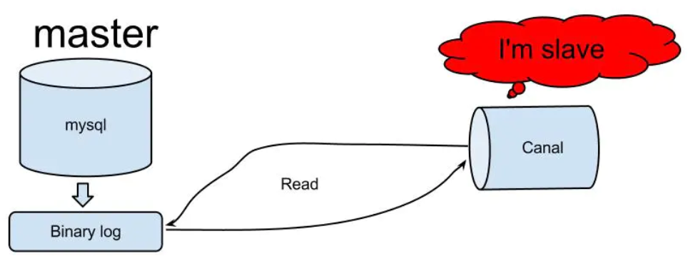 image-20200630164350829