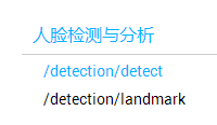 人脸检测api