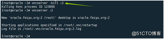 Linux下开启VNCserver服务（远程连接）