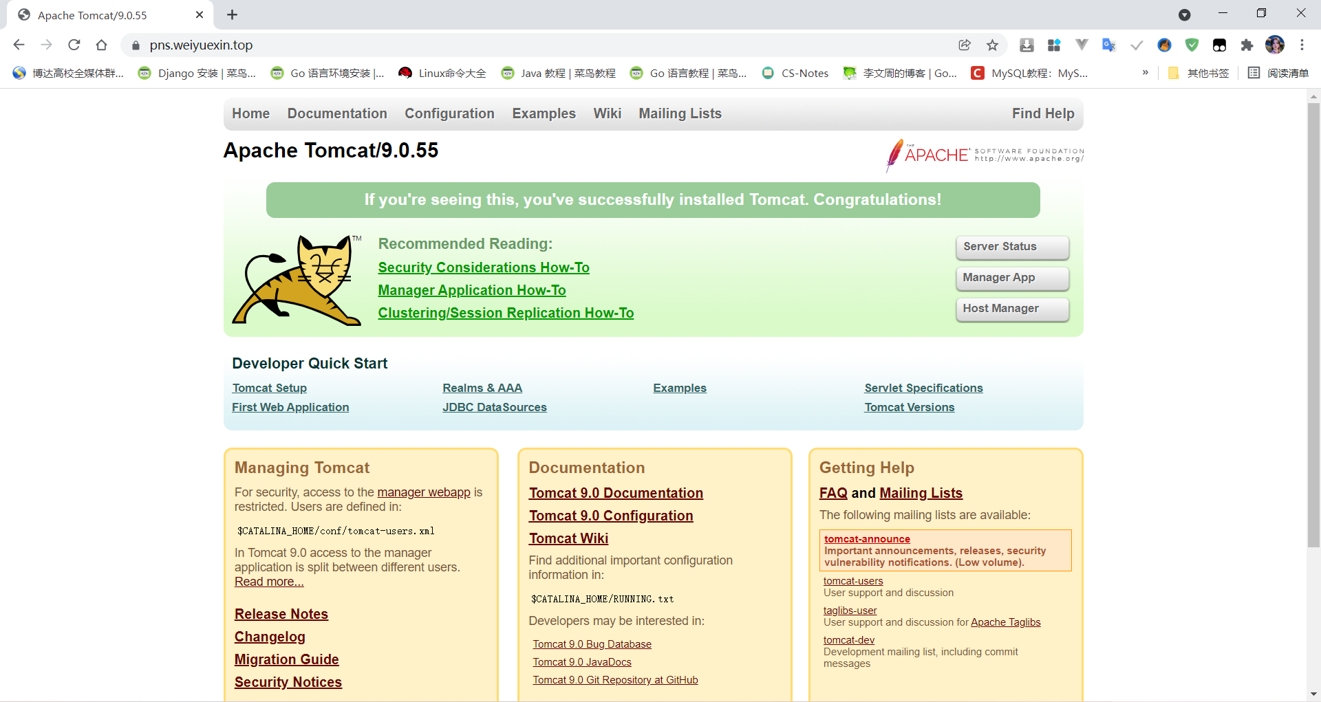 image-20211124124359080