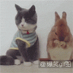 c57c8a8a4e350b621909941b96ca5244.gif