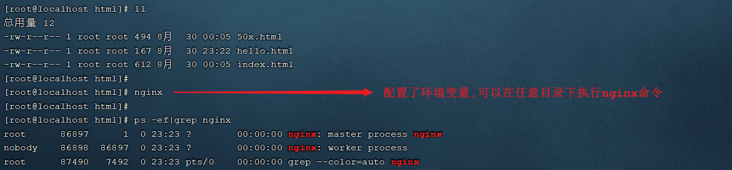 image-20210830232529524