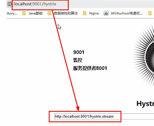 image-20211011205534717