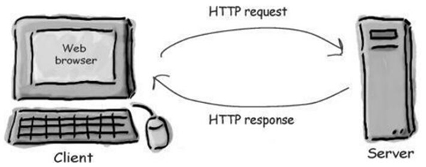 python爬虫入门基本知识