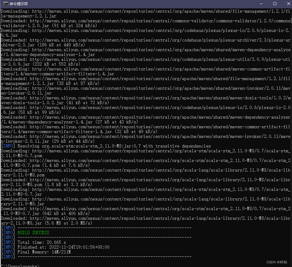在这里插入图片描述