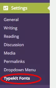 Type Kit Plugin Embed Settings
