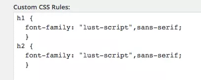 Type Kit Plugin Custom CSS