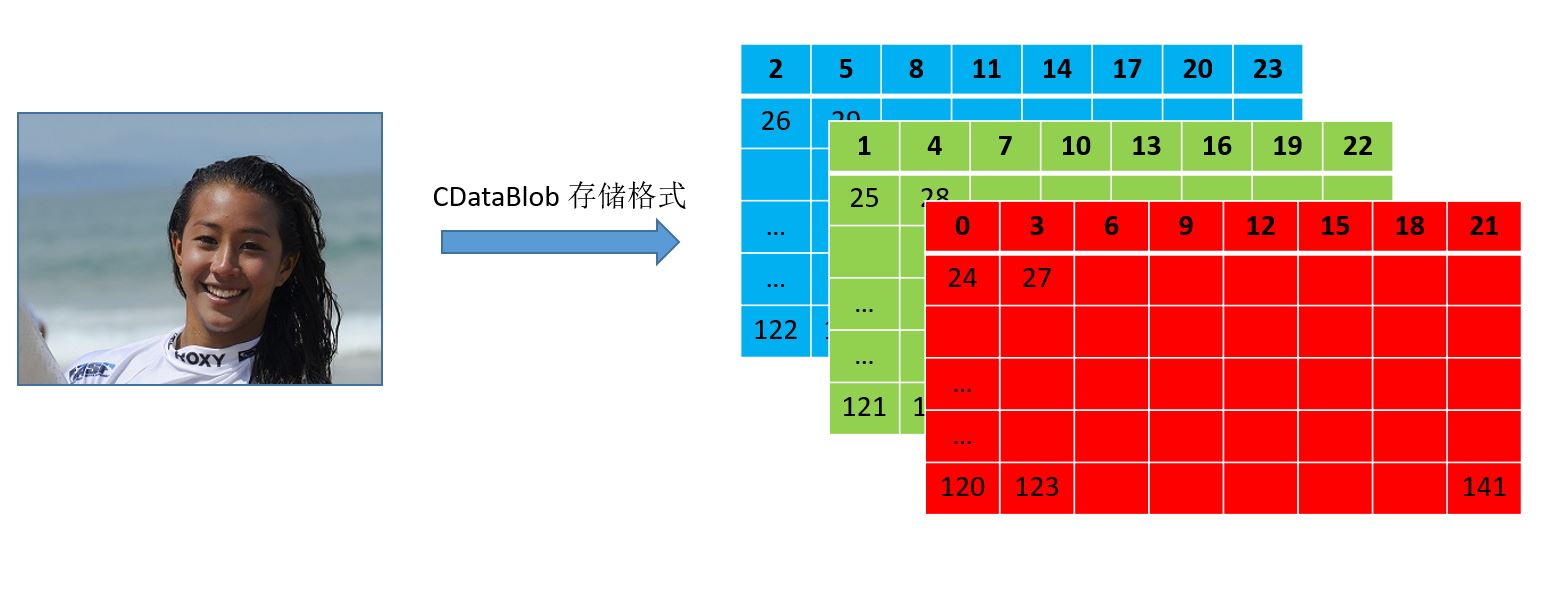 libfacedetection中层与层之间传递的blob存储顺序