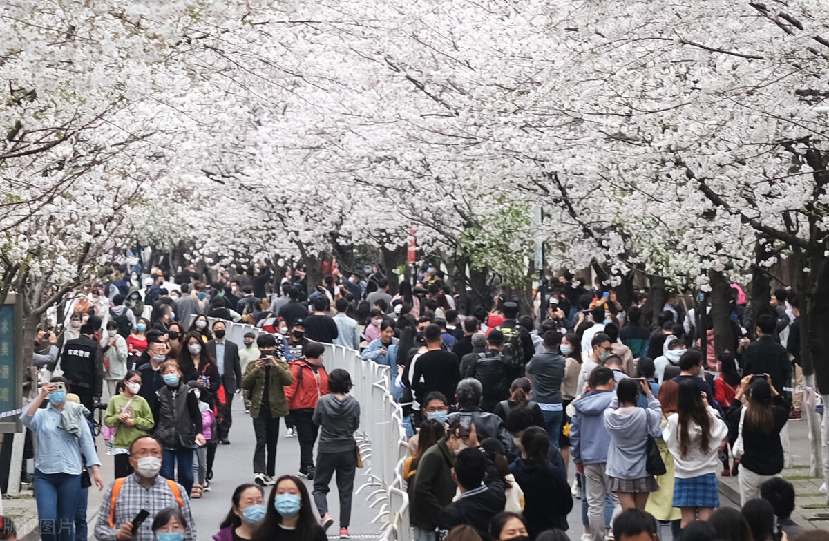 互联网寒冬下,经历裁员,被逼啃透22个技术点,斩获offer