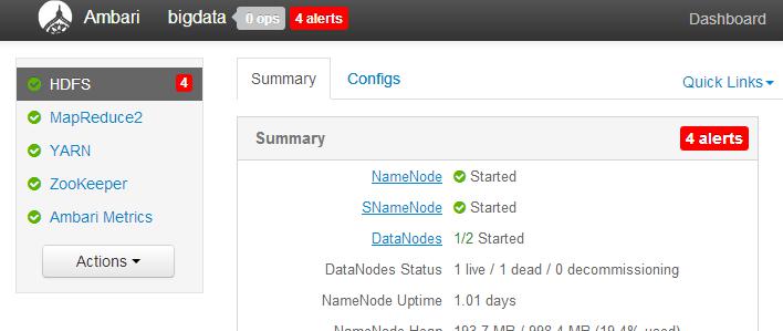 图 13. Service 打开 Maintenance Mode 之前