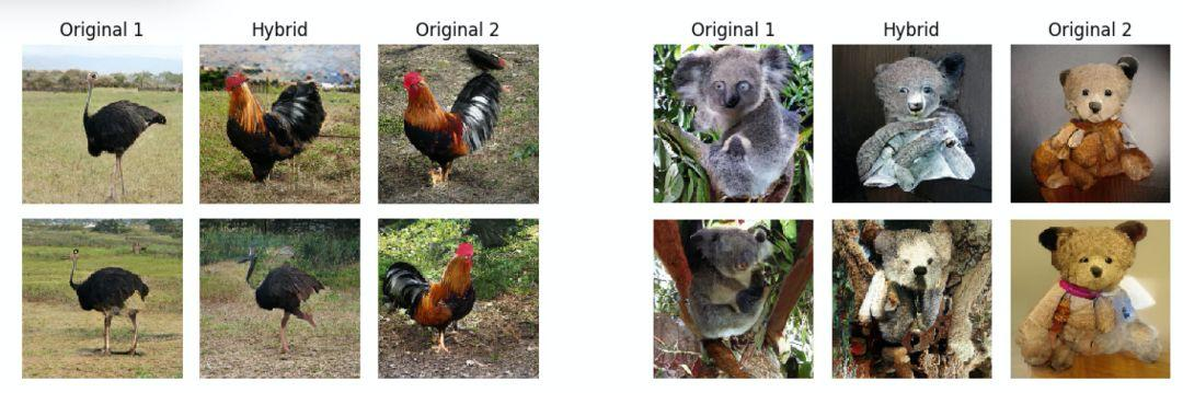 反事实推理、特征分离，「因果表示学习」的最新研究都在讲什么？