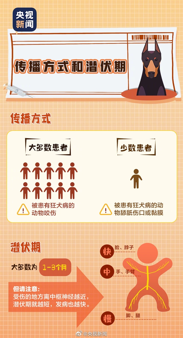 几年前曾被狗咬 男子狂犬病发死亡:世卫推荐“十日观察法”