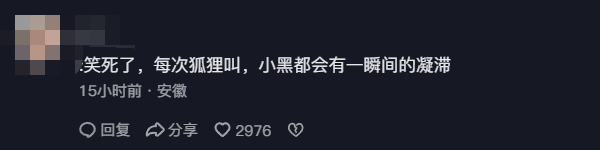 狐狸和狗一起生活 一开口狗里狗气 网友:都是犬科