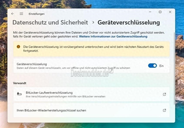 微软会玩！windows 11 24h2细节曝光：对数据默认加密、影响ssd性能