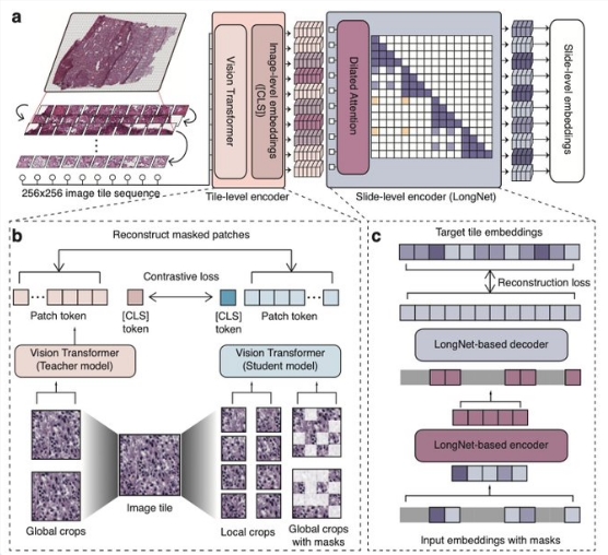 qq截图20240605100303.png qq截图20240605100303.png