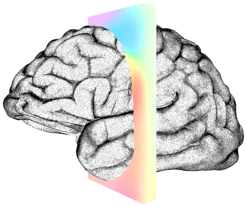 neuralink,脑机接口,马斯克 (图片来源:官方或第三方截图) neuralink,脑机接口,马斯克