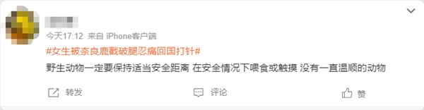 女生被日本小鹿戳破腿 忍痛回国打针 网友提醒:野生动物保持距离