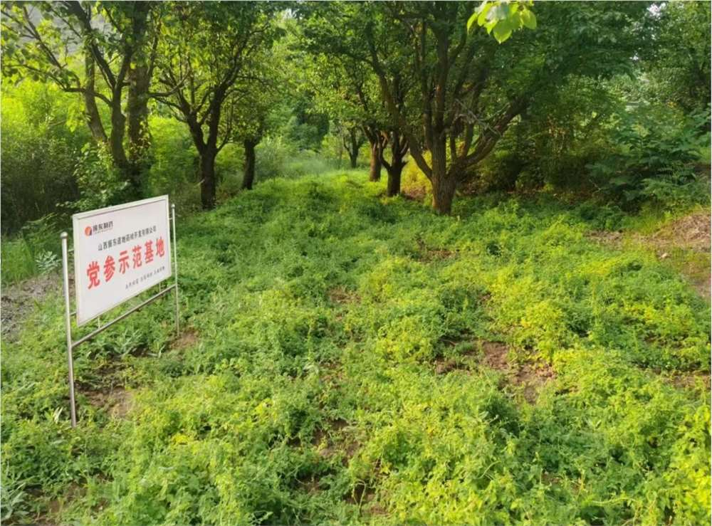 1729566595861797.png image.png