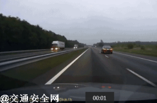 高速路上出现小动物 是躲还是直接撞:官方解读来了