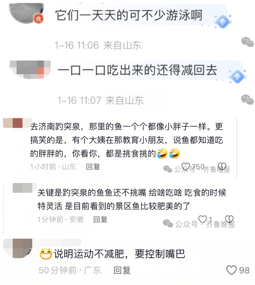 趵突泉锦鲤胖的跟猪一样
园区：再喂就噶了！