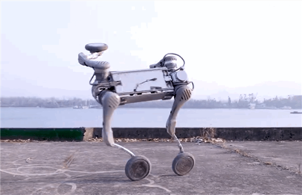 中国先进机器狗引发全球轰动 宇树科技大量招兵买马：算法工程师年薪超90万元