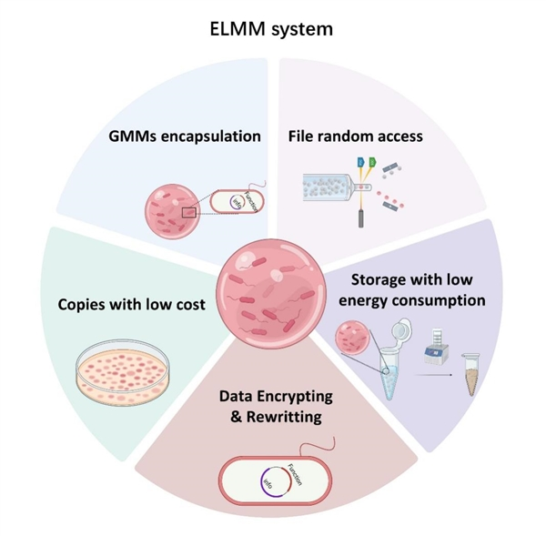 清华大学研发细菌彩珠硬盘：突破DNA存储瓶颈 一个冰箱体积能存2.6亿TB数据