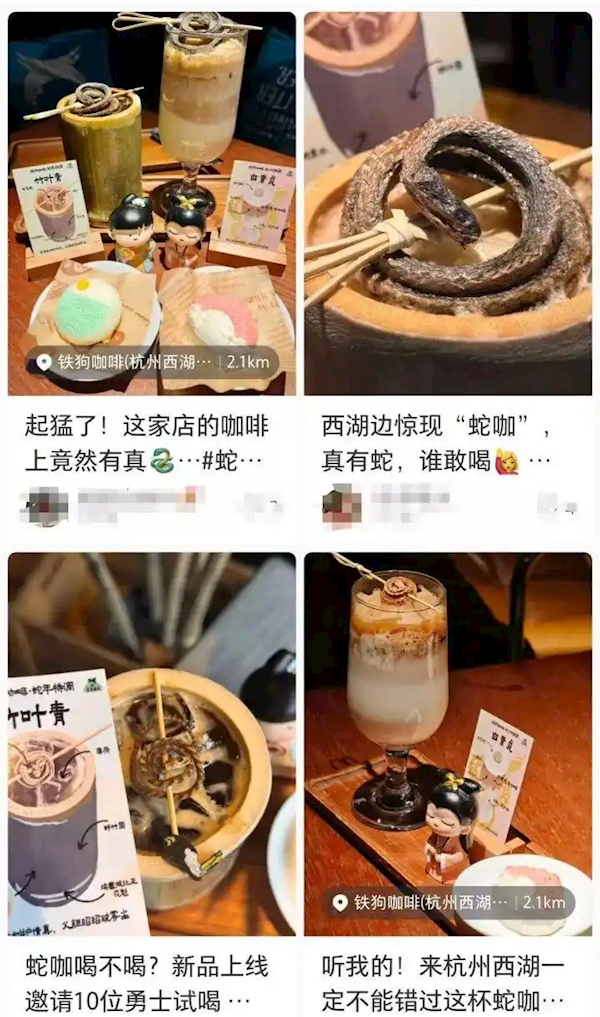 咖啡馆靠“咖啡里有真蛇”出圈 有网友实测：真有蛇 谁敢喝