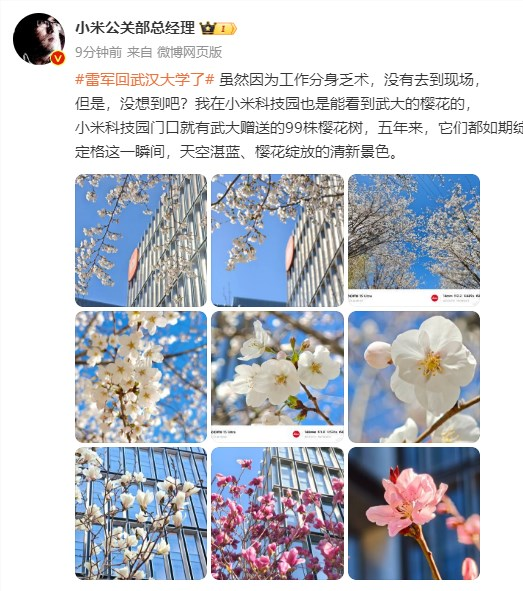 雷军闪现武大引热议
王化回应：小米有武大赠送的99株樱花树