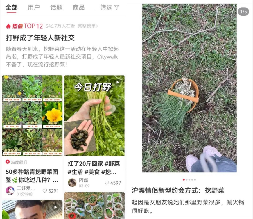 边挖野菜边相亲，这届年轻人，花99元当“王宝钏”