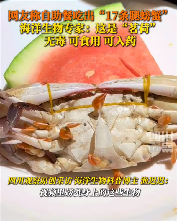 专家回应网友吃到17条腿螃蟹：该物为茗荷 无毒