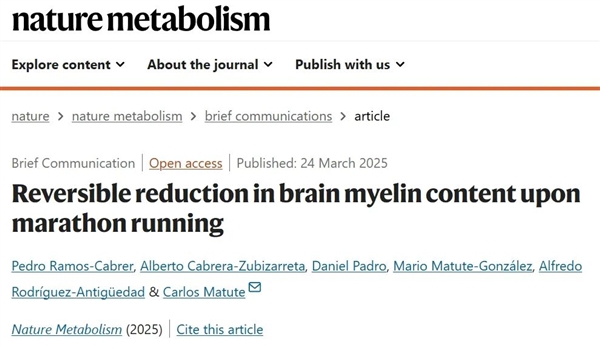 跑马拉松的注意了！研究发现：过度消耗 大脑饥饿了会吃自己