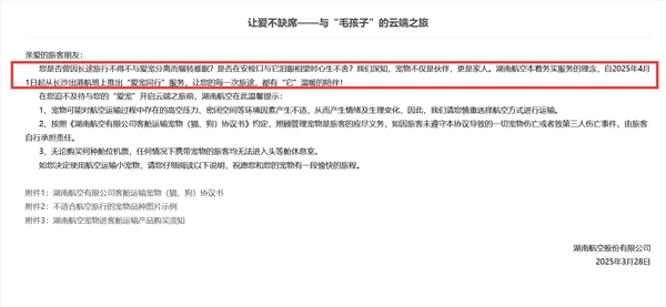 长沙人可以带猫狗坐飞机了：湖南航空推出“爱宠同行”产品