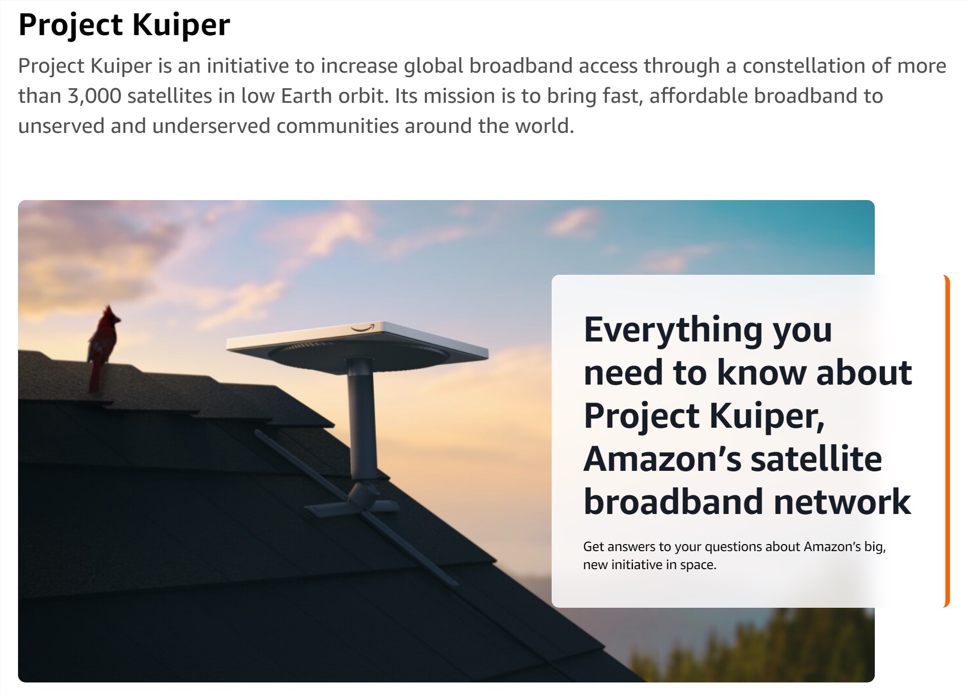 比 SpaceX 更便宜……亚马逊发射“柯伊伯计划”首批卫星