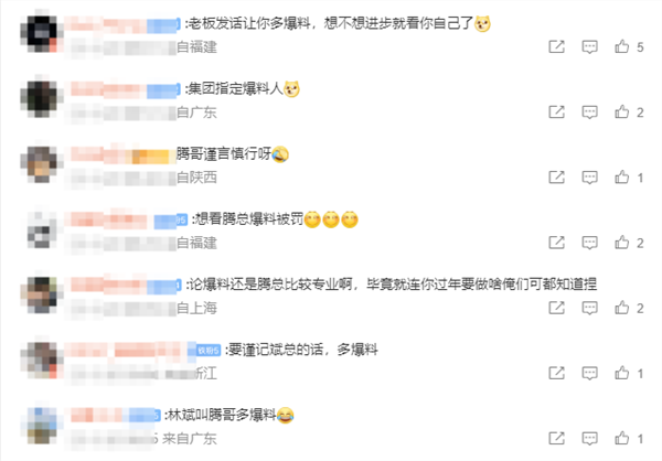 小米林斌回应目前工作：自己像半个律师加半个国际政府关系 以后爆料尽量交给王腾